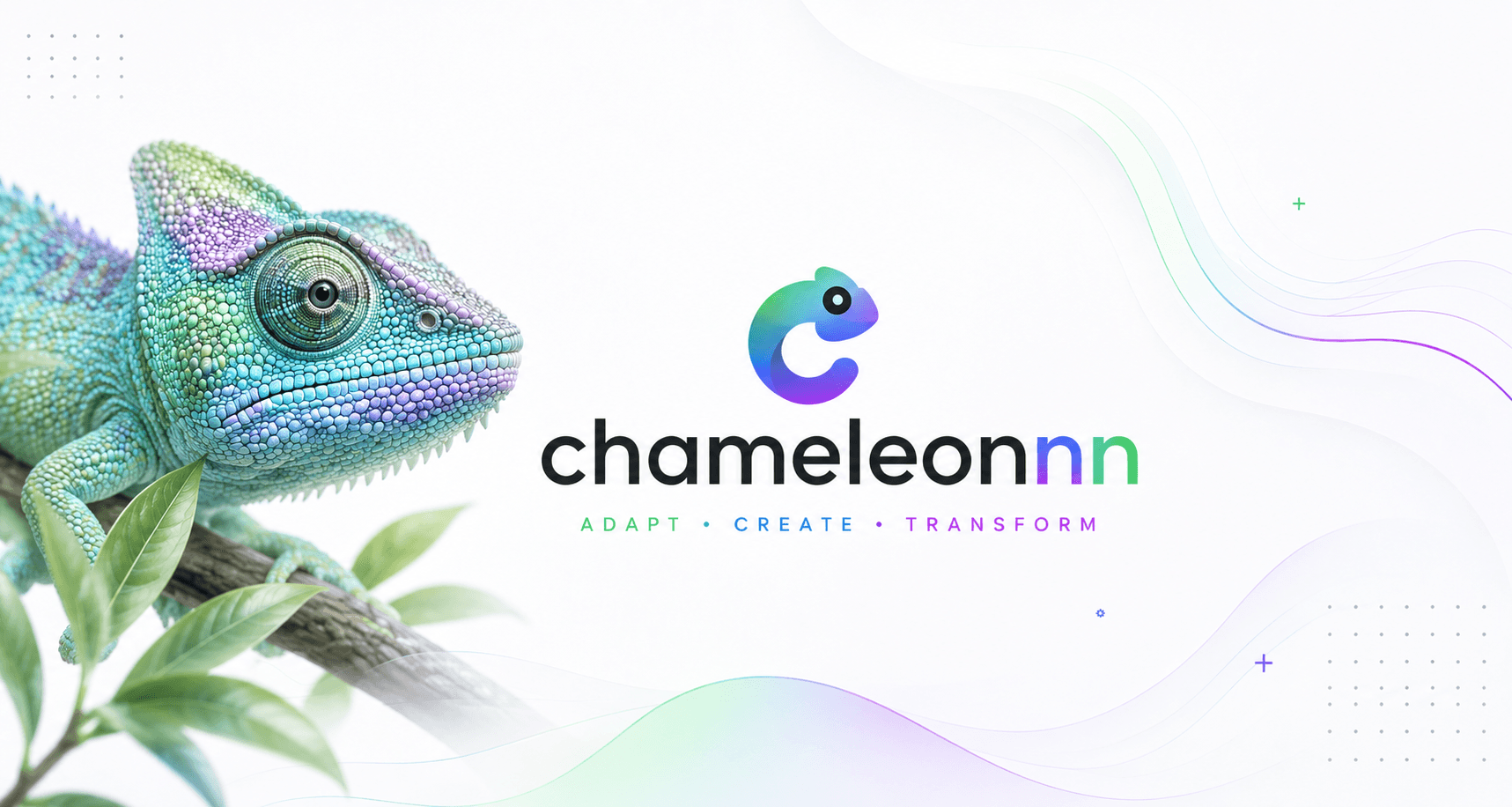 Chameleonn light hero